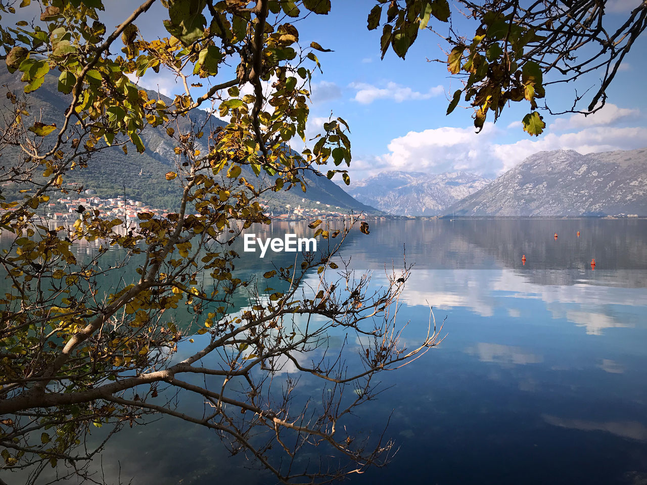 SCENIC VIEW OF LAKE