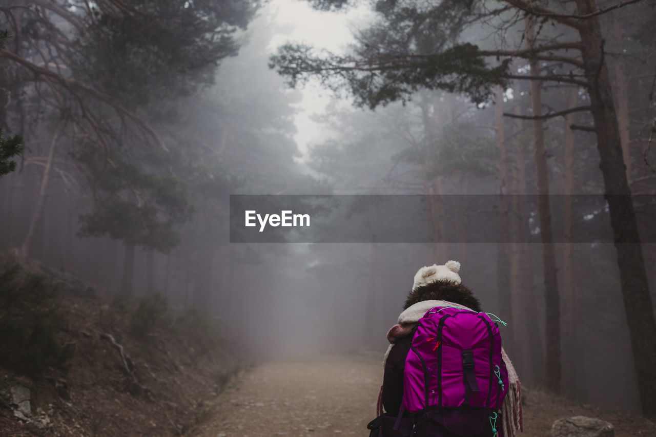 Rear view of female hiker on footpath amidst trees in forest