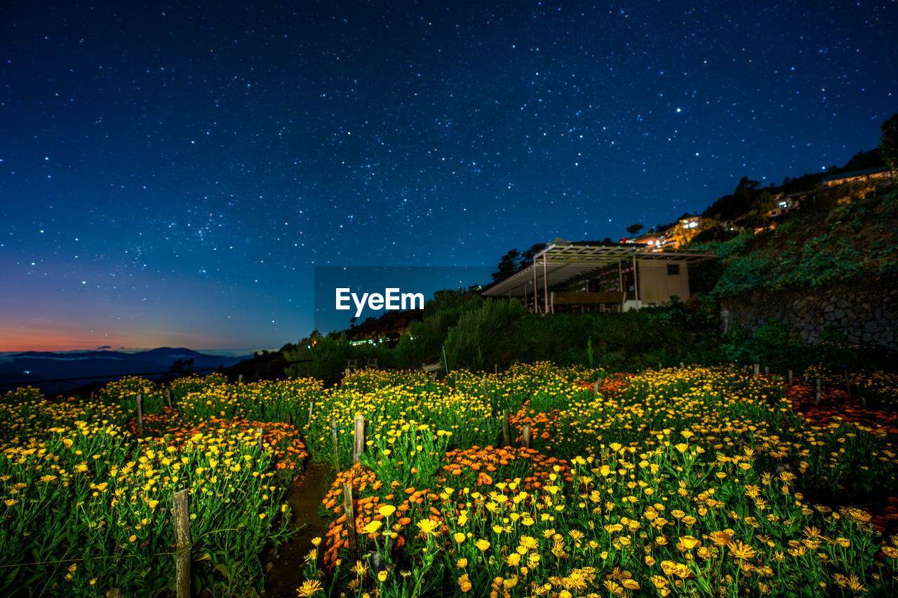 Scenic view of field against sky at night