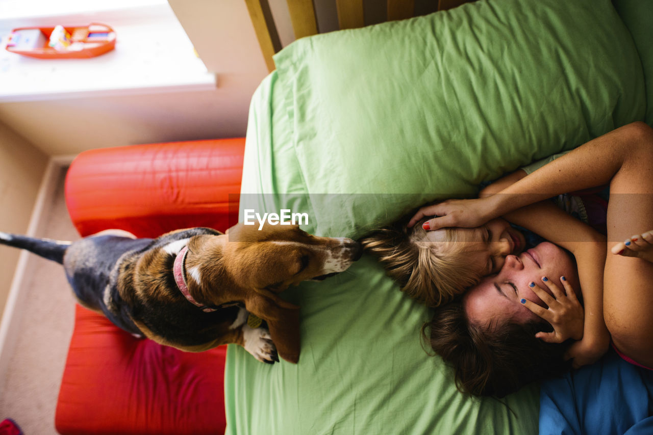 Overhead view of dog looking at mother and daughter embracing on bed at home