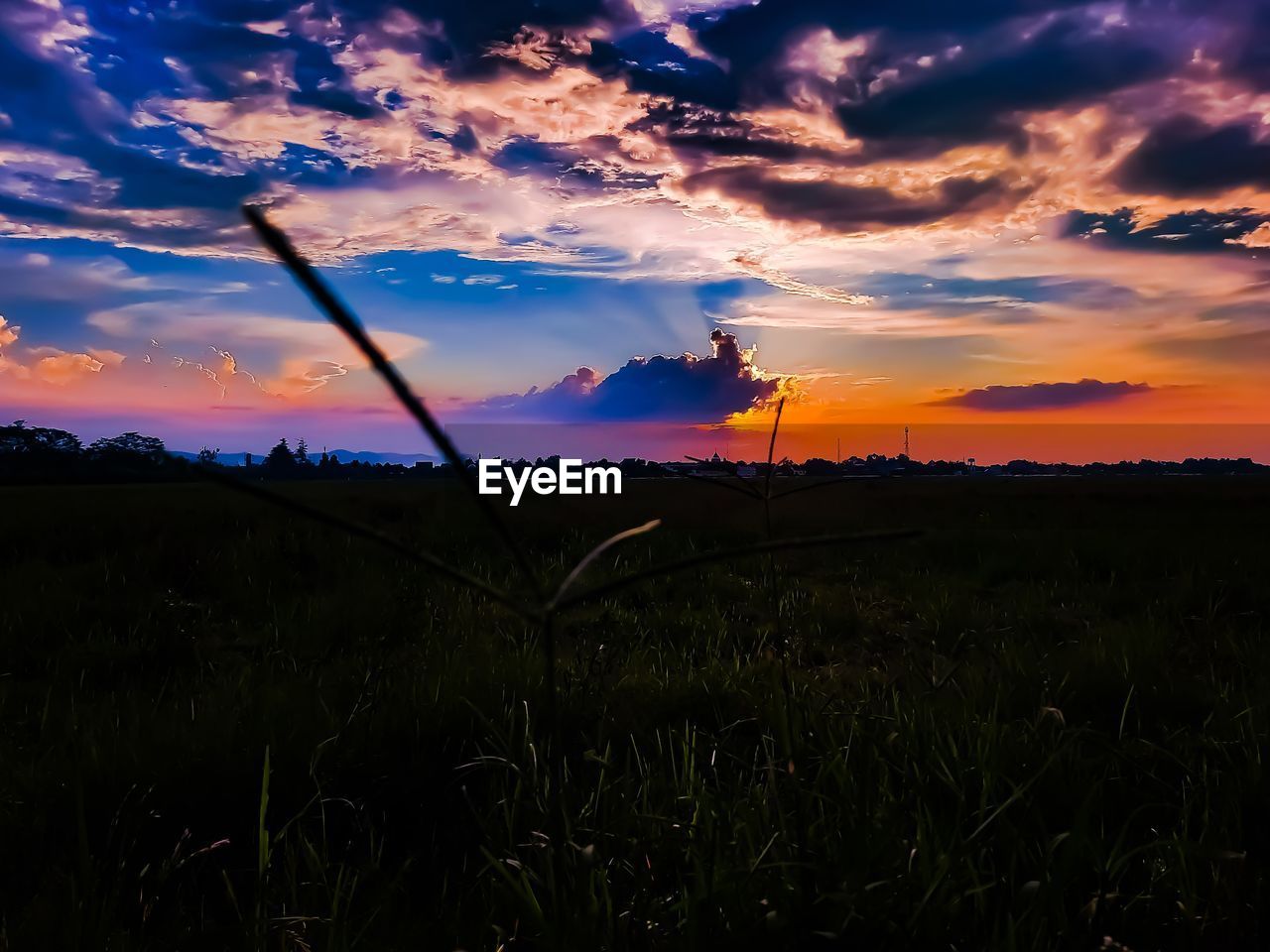 SCENIC VIEW OF FIELD DURING SUNSET