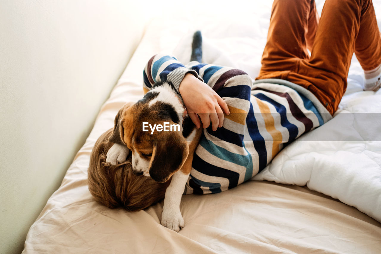 Rear view of dog resting on bed