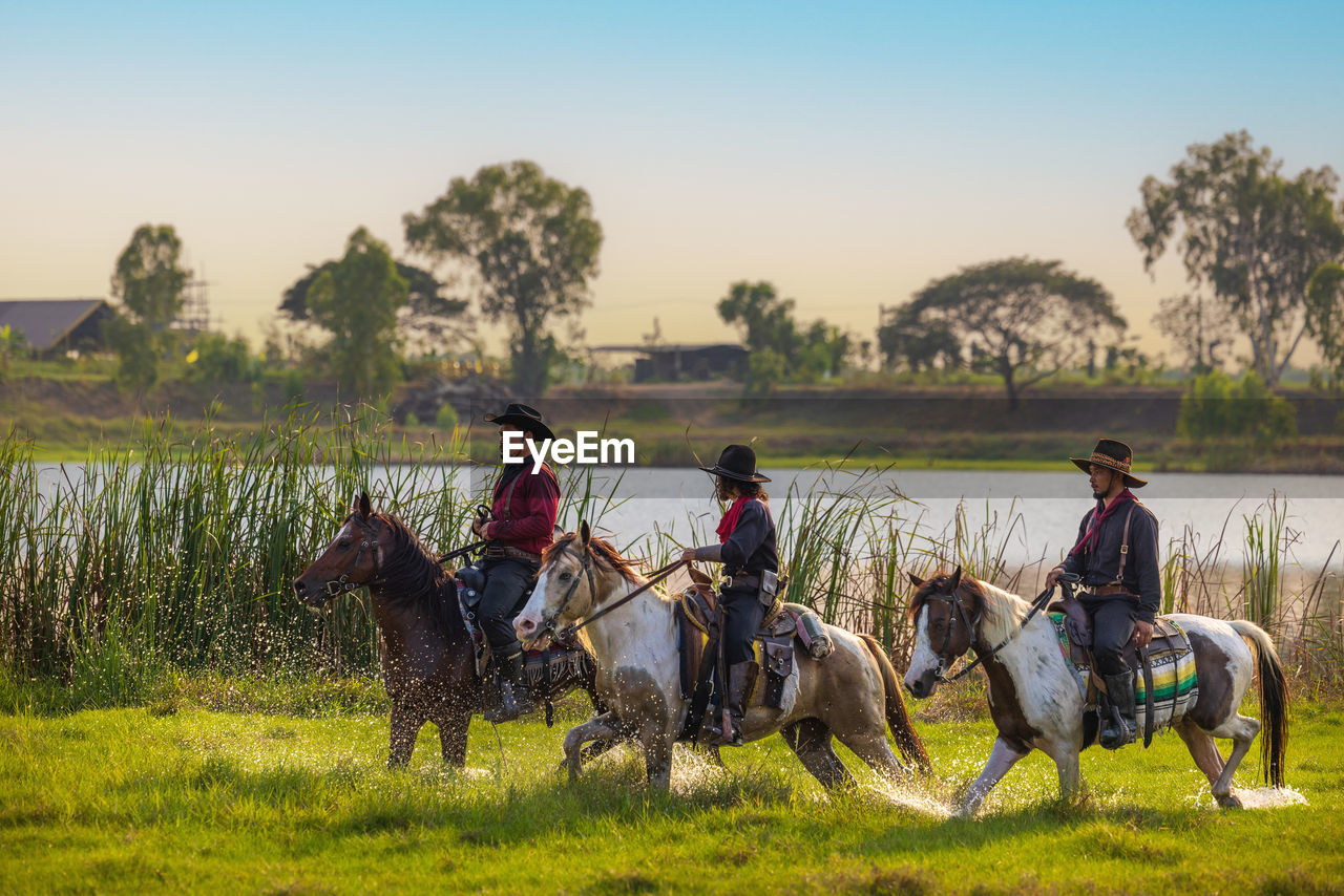 Horses on field against sky