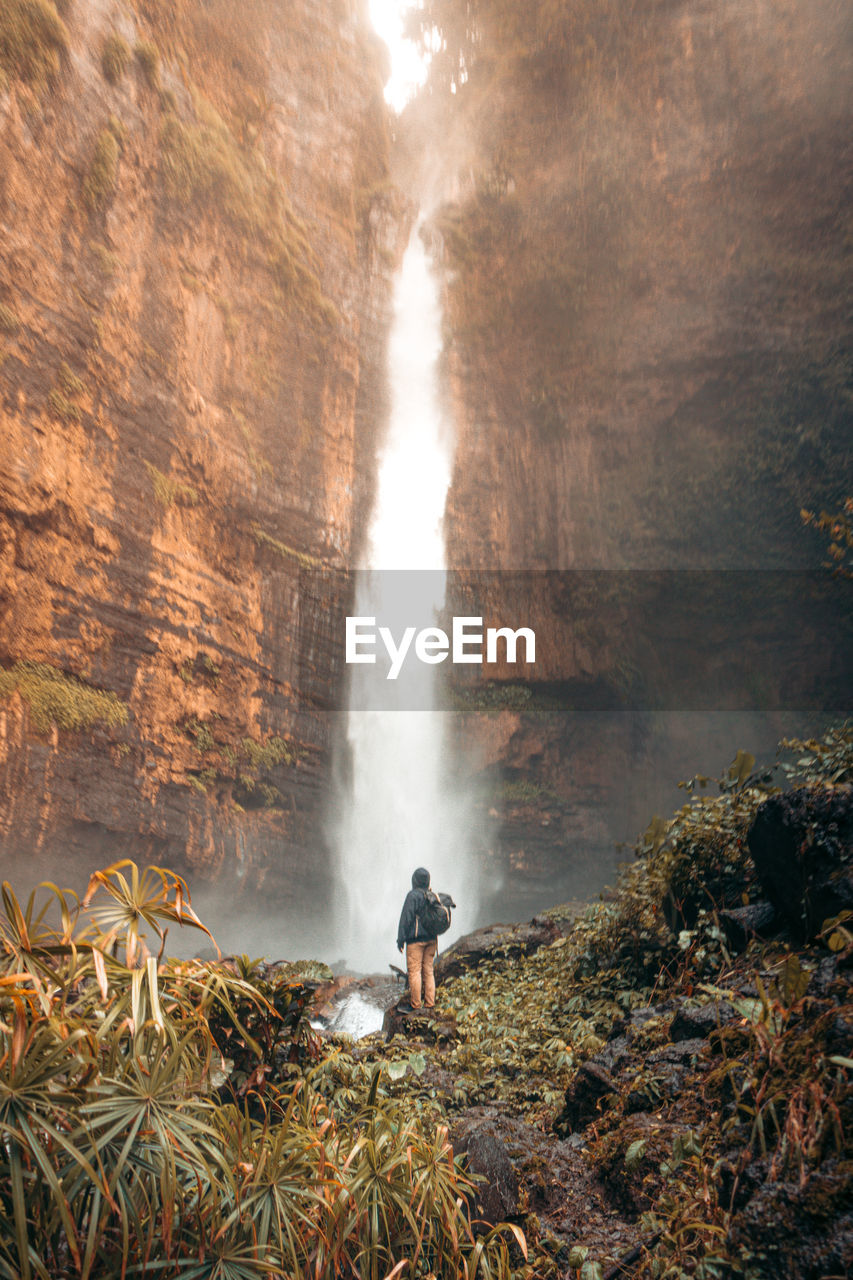 Scenic view of waterfall in forest