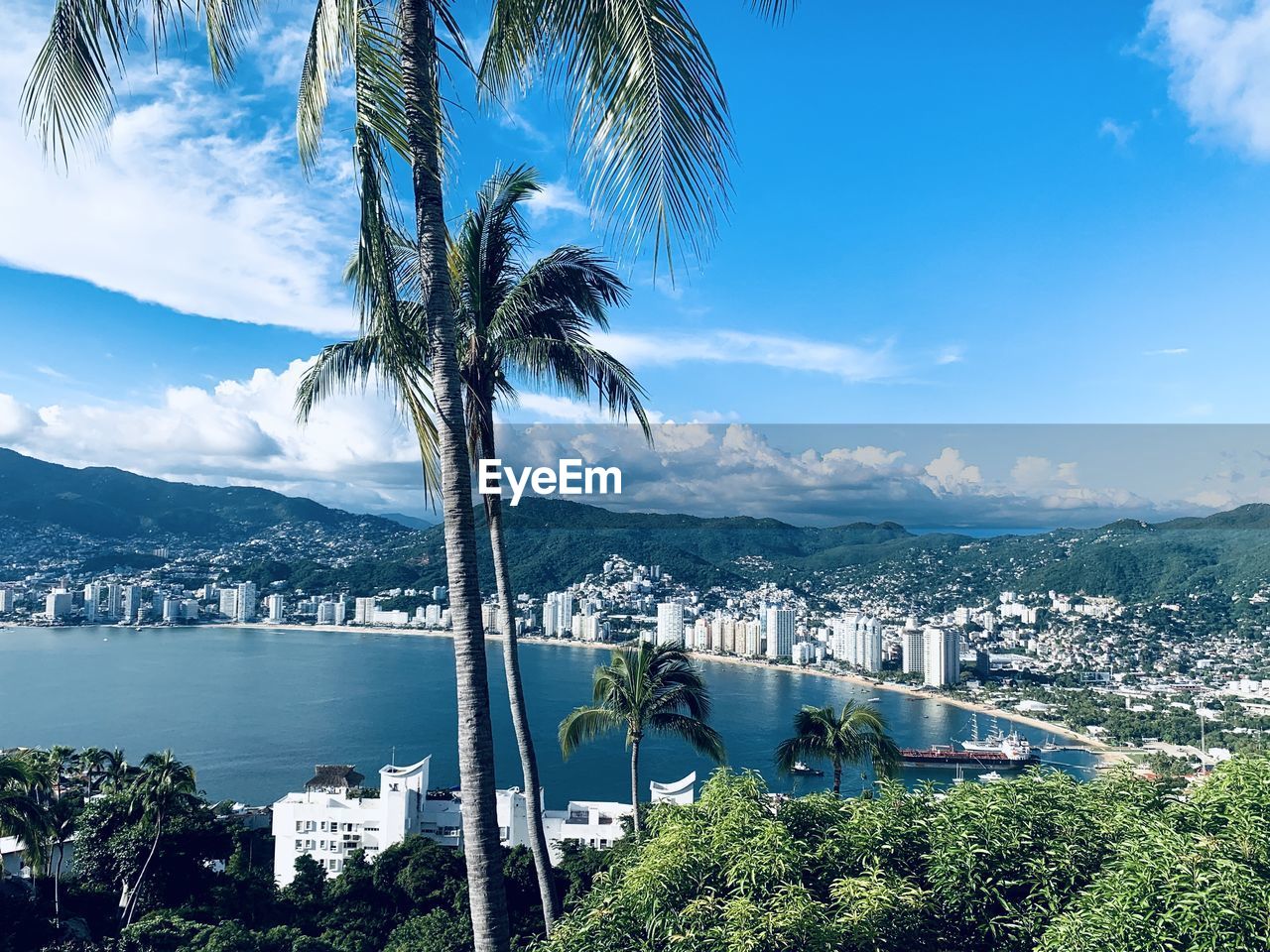 Palm trees by sea against sky