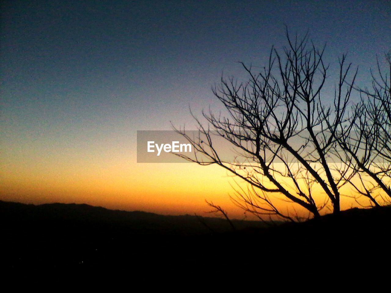 SILHOUETTE OF LANDSCAPE DURING SUNSET