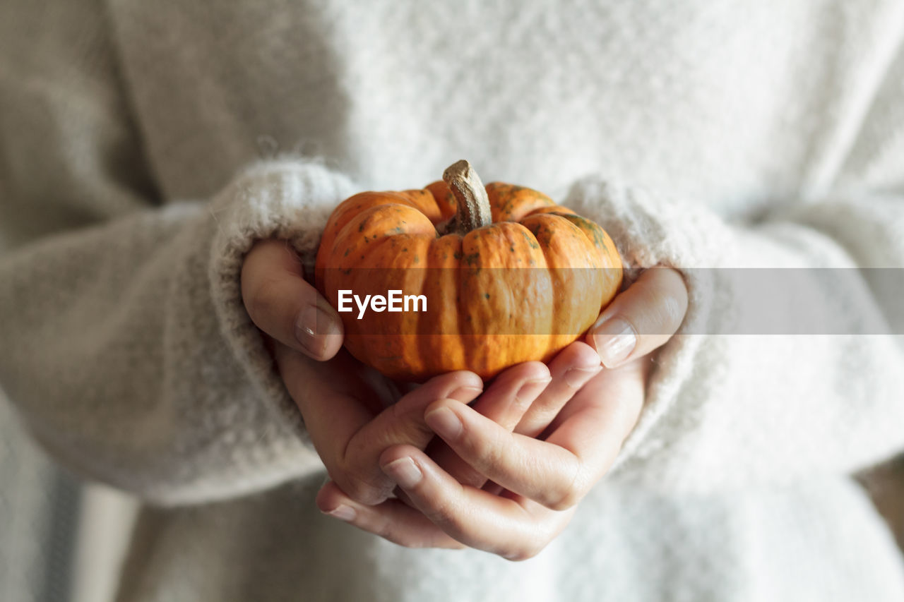 Close-up of hand holding pumpkin