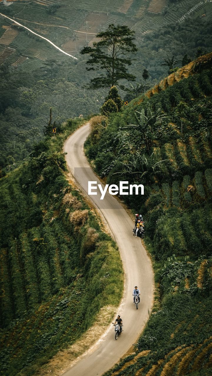 Aerial view of vehicles on road amidst trees