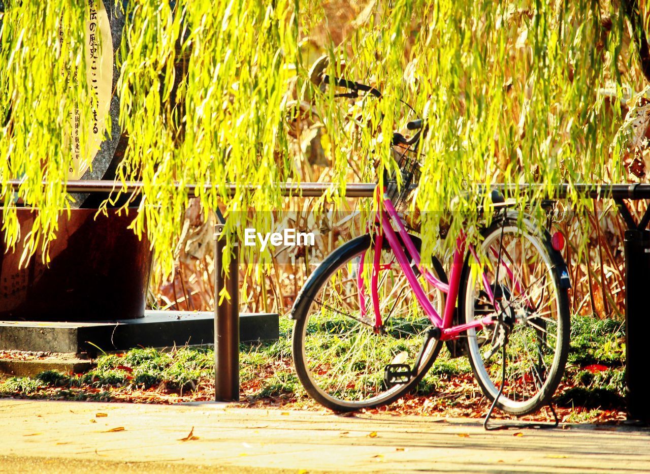 BICYCLES PARKED BY BICYCLE