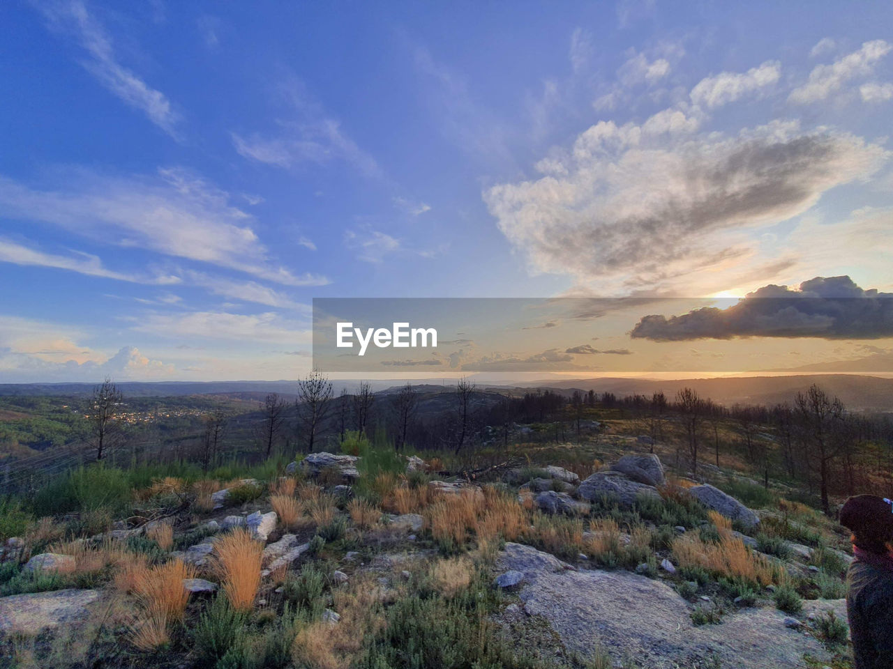 Scenic view of landscape against sky during sunset