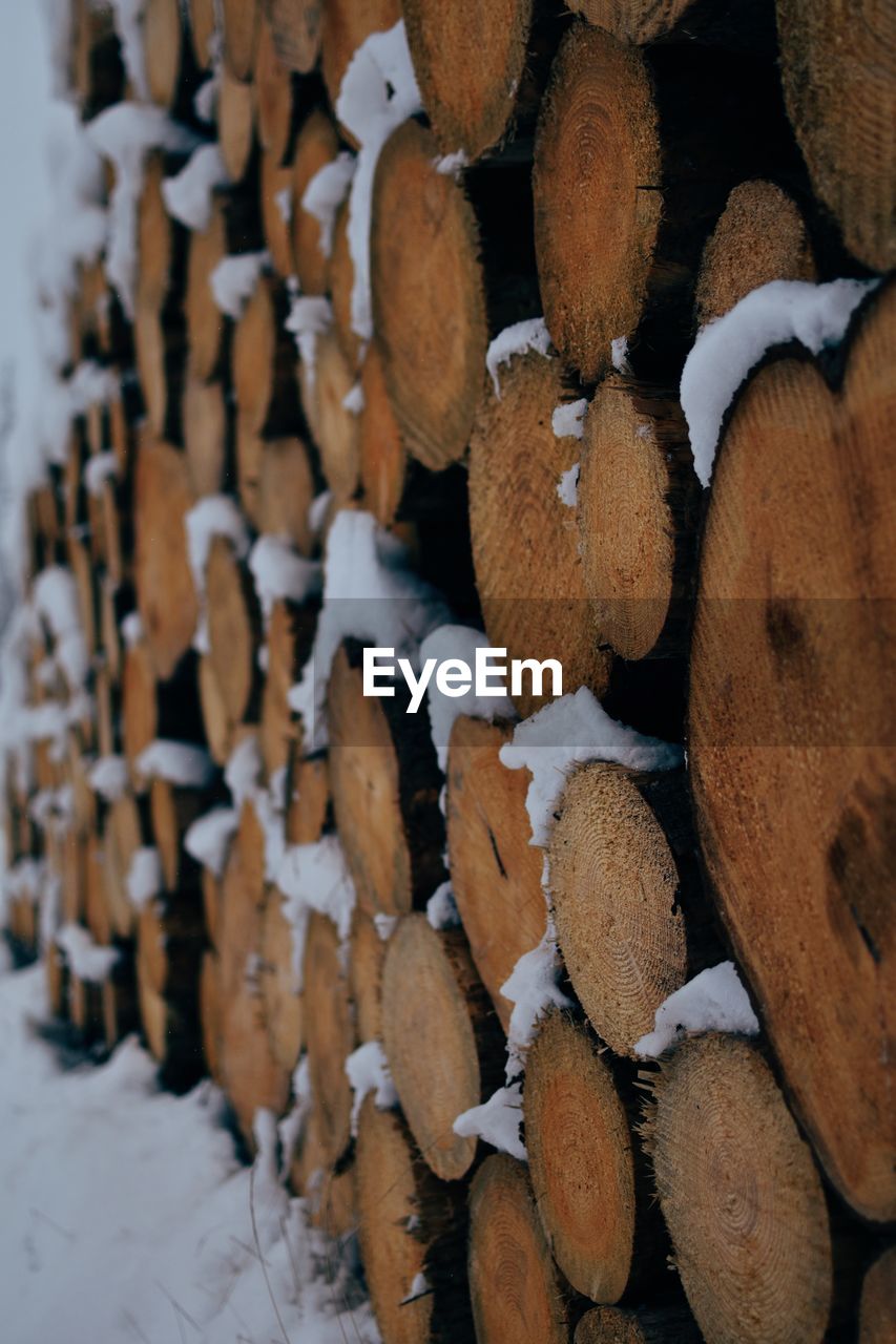 snow, large group of objects, winter, wood, timber, log, abundance, tree, close-up, no people, forest, firewood, lumber industry, cold temperature, nature, brown, branch, deforestation, day, full frame, backgrounds, outdoors, heap