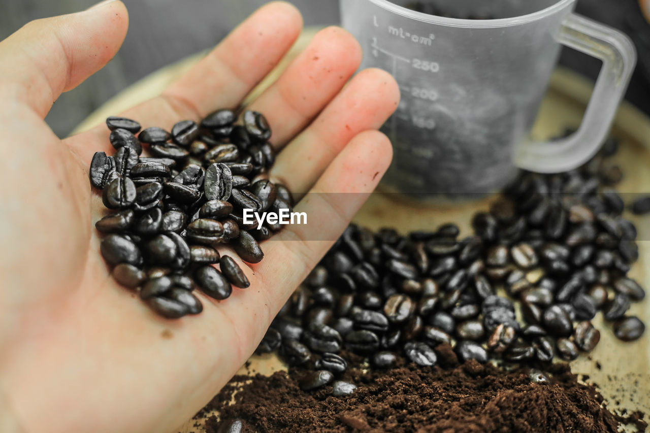 Close-up of hand holding coffee beans