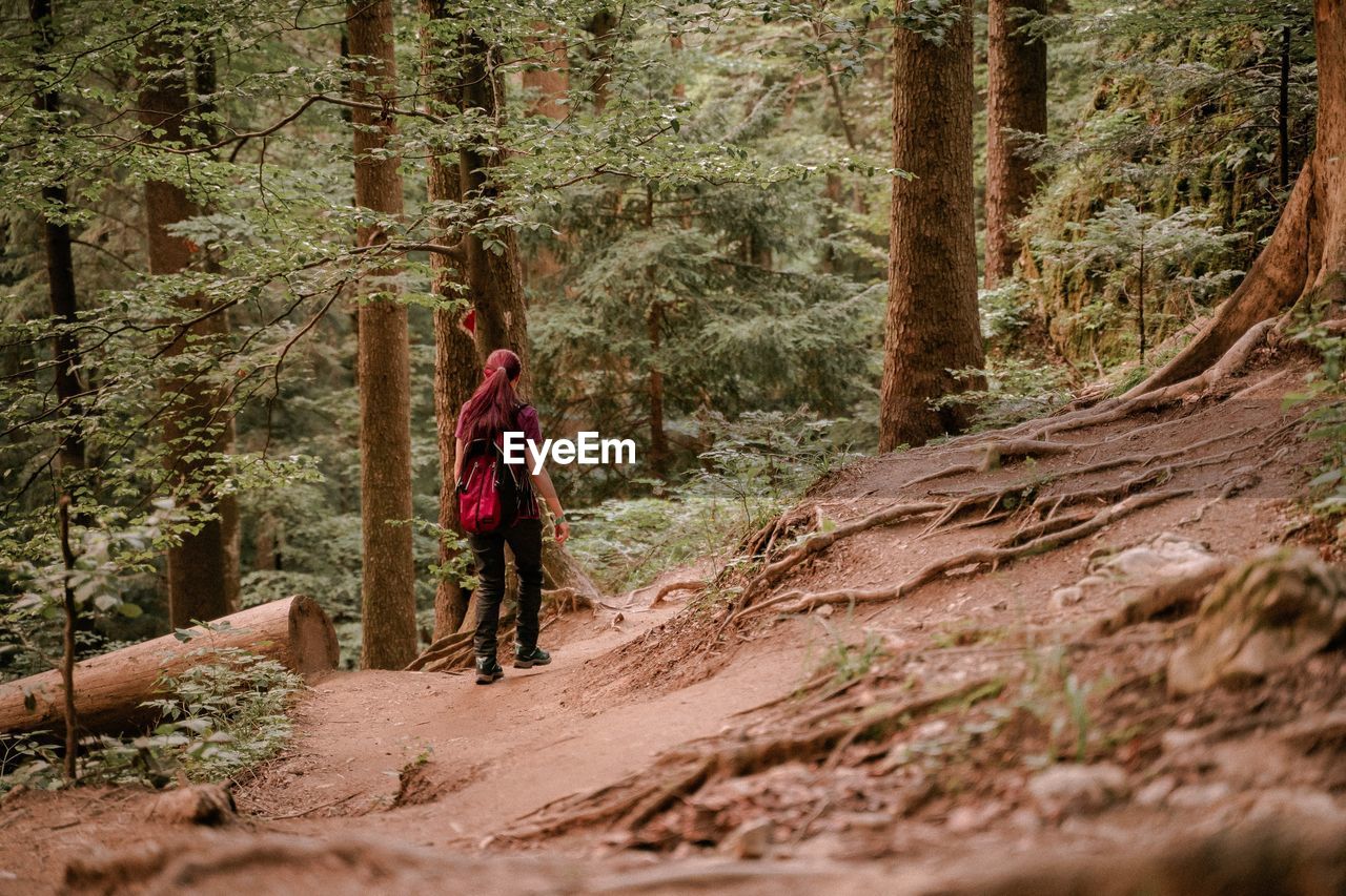 Woman walking by trees in forest