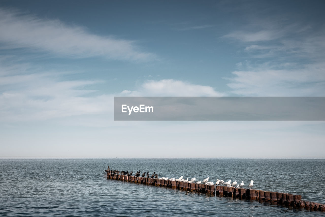 Birds perching on wooden posts in sea against sky