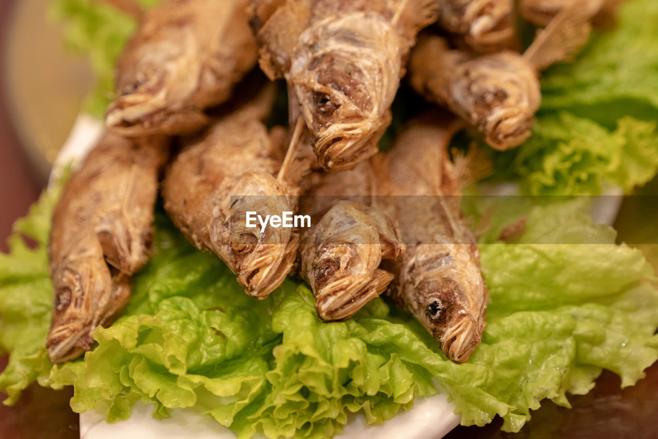 Close-up of meat on leaves