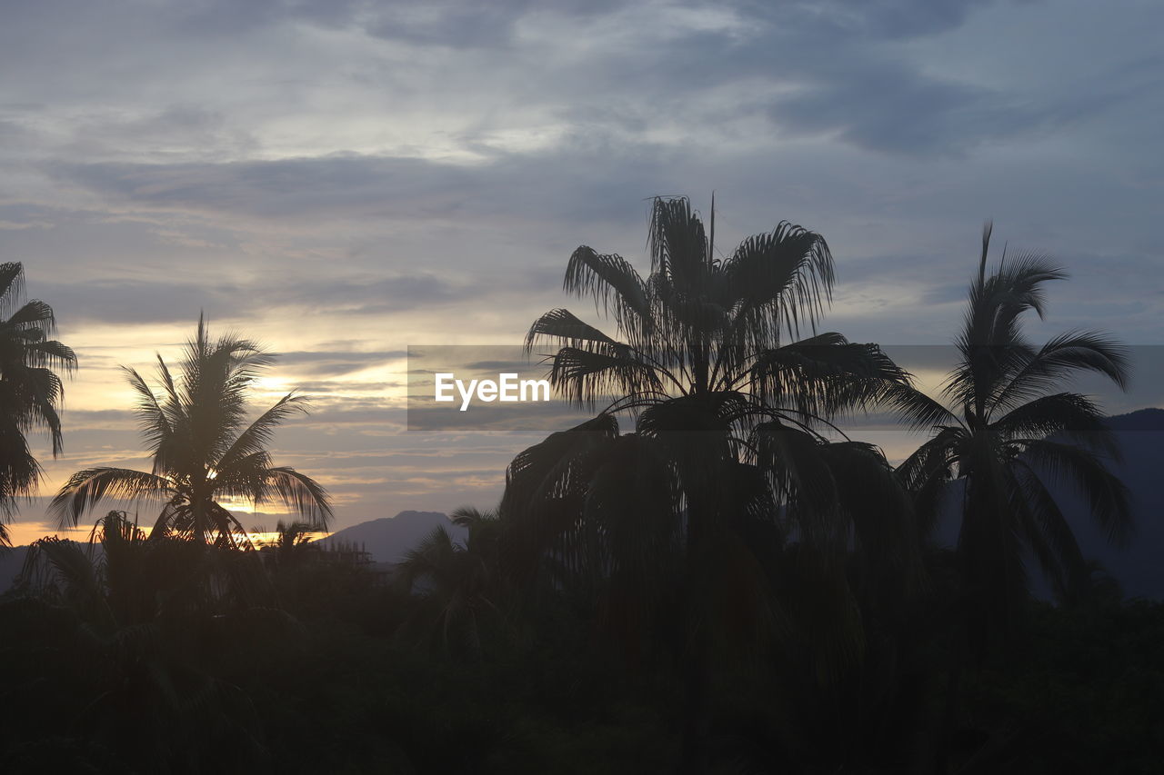 sky, palm tree, plant, cloud, tropical climate, nature, sunset, tree, beauty in nature, scenics - nature, land, horizon, sunlight, dusk, evening, no people, growth, environment, tranquility, silhouette, landscape, outdoors, tranquil scene, coconut palm tree, travel destinations