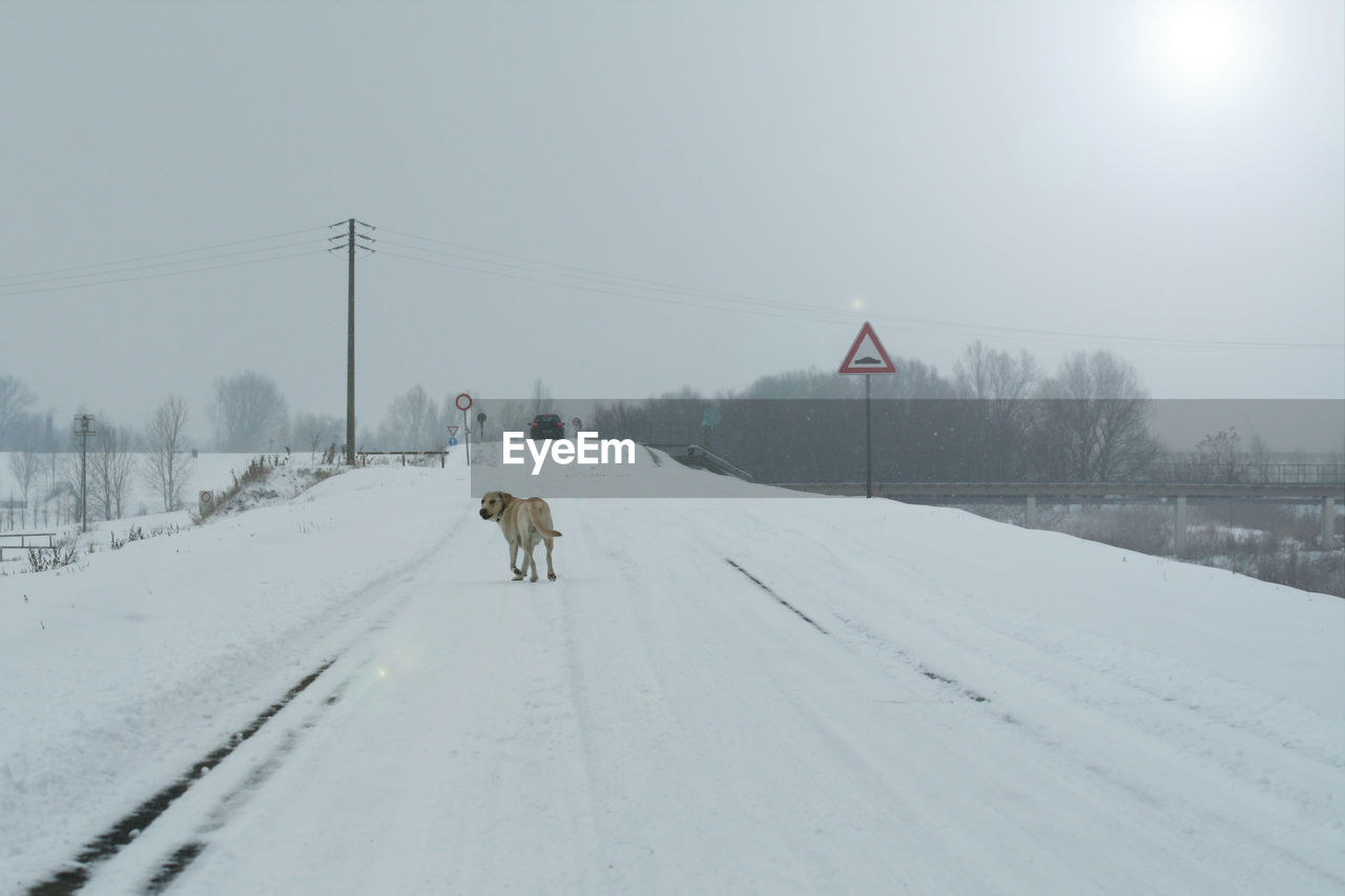 PEOPLE WALKING ON SNOW COVERED ROAD