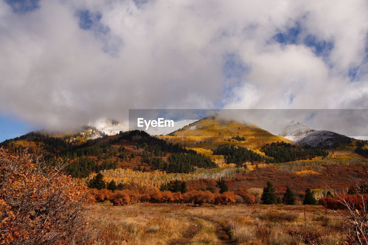 Scenic view of landscape against sky during autumn