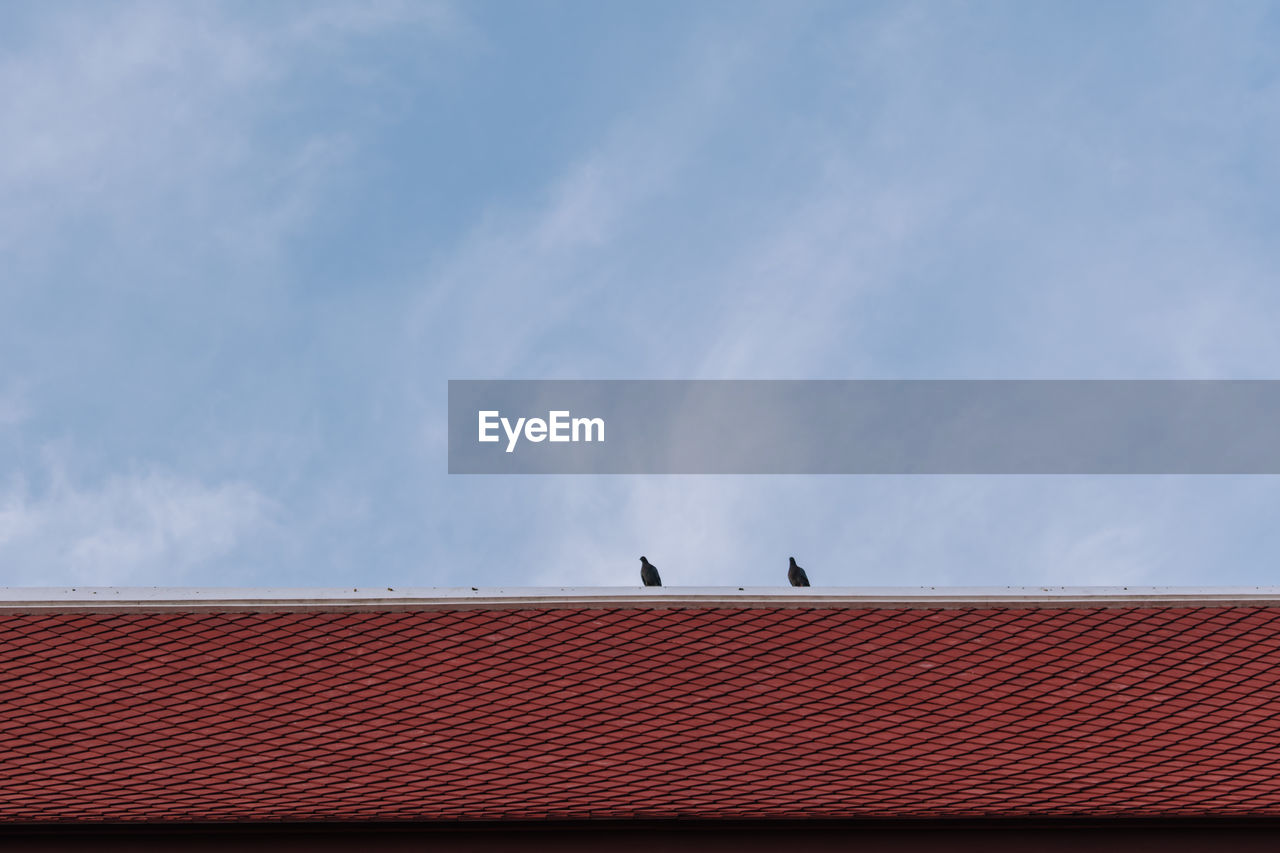 Low angle view of birds on roof against sky