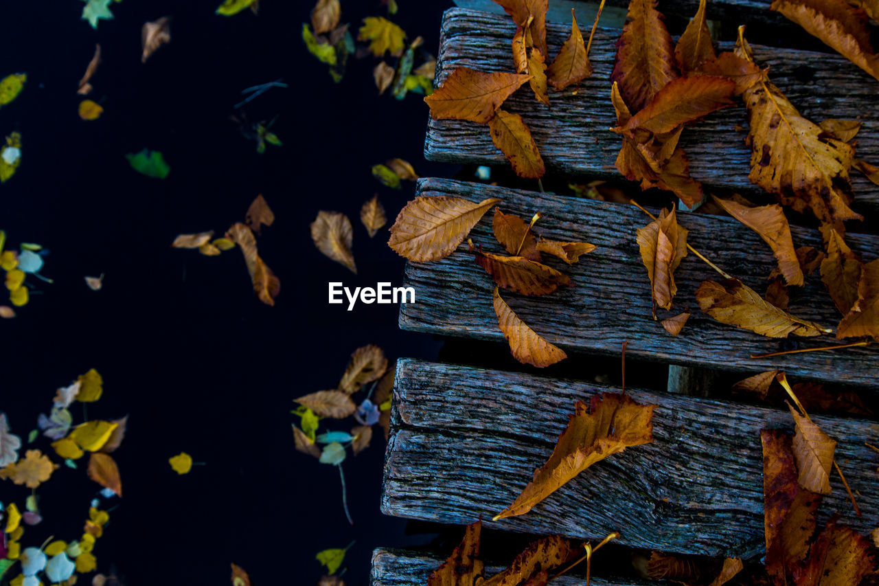 FULL FRAME SHOT OF FIREWOOD LEAVES