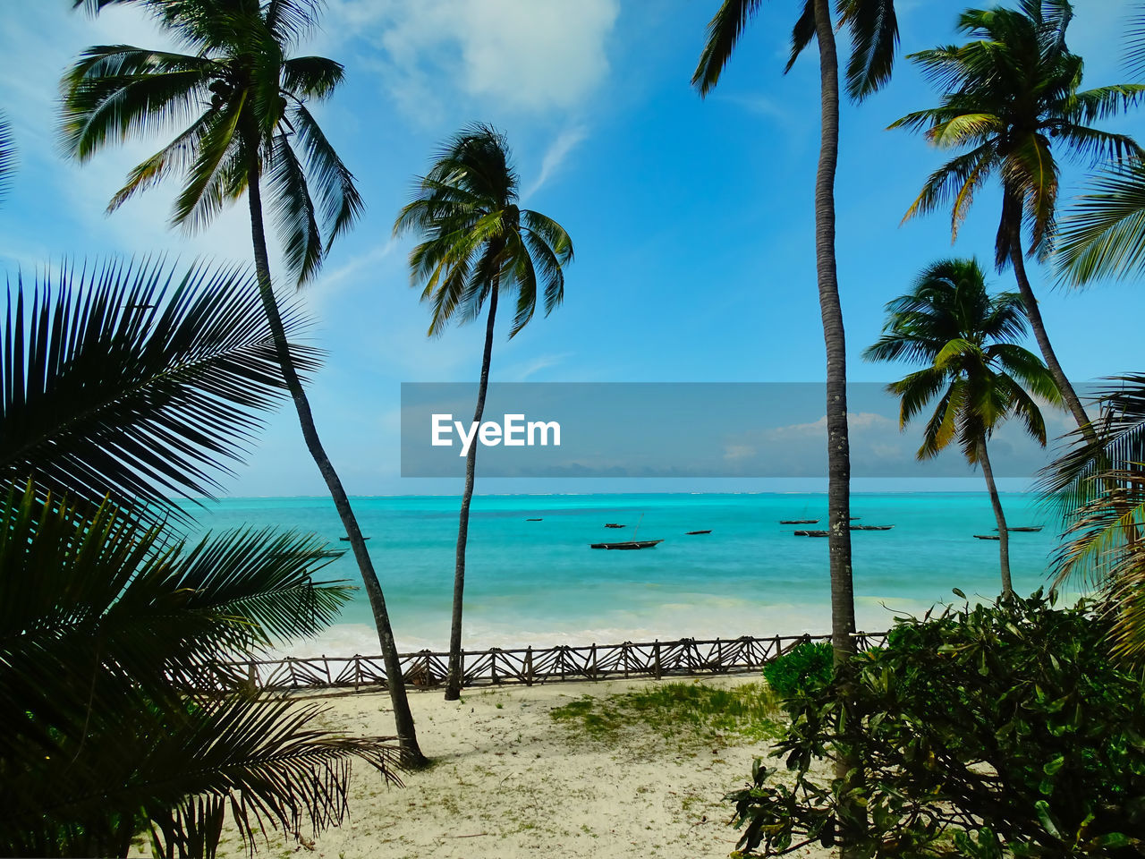 PALM TREES ON BEACH AGAINST SEA