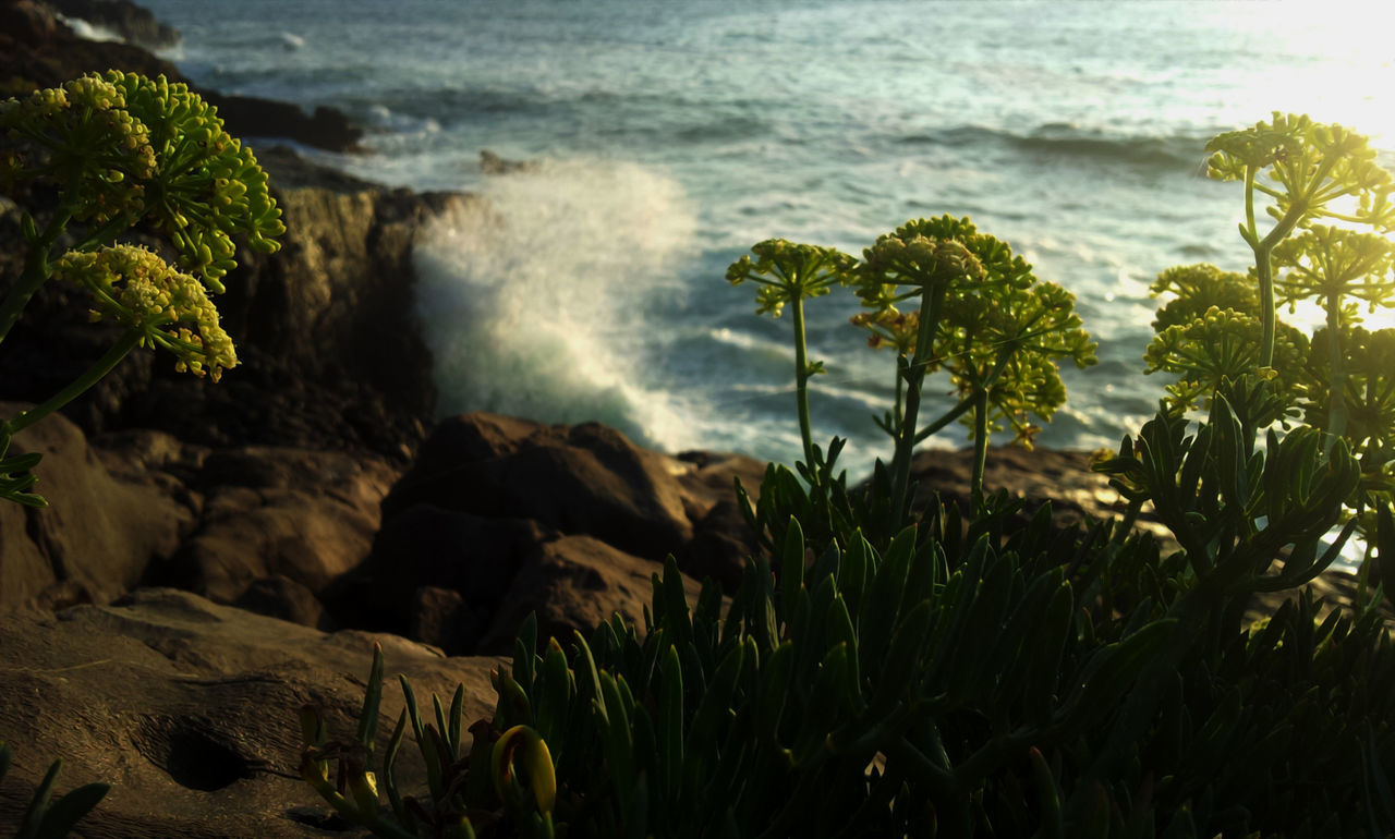 High angle view of sea