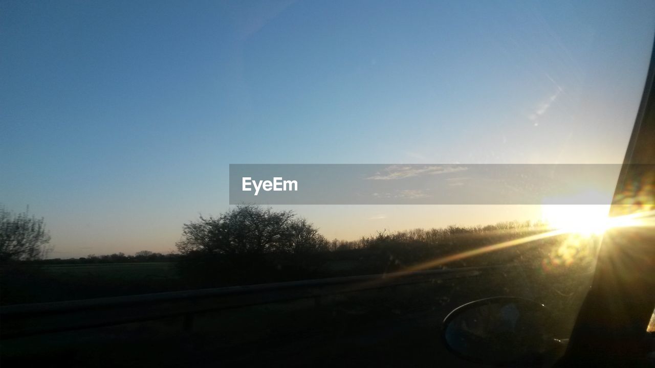 SUN SHINING THROUGH TREES