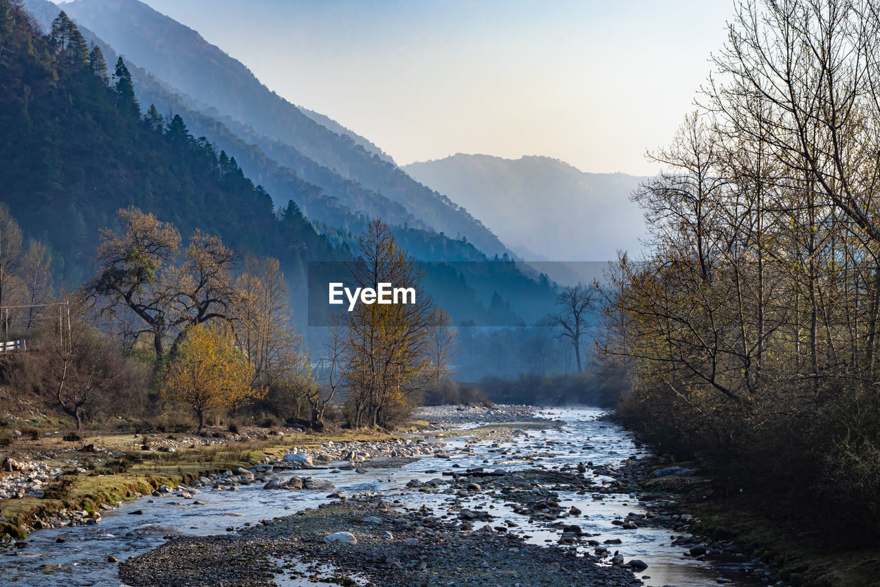 River flowing through misty mountain valley covered with dense forests and blue sky at dawn