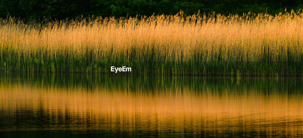 SCENIC VIEW OF LAKE WITH REFLECTION IN BACKGROUND