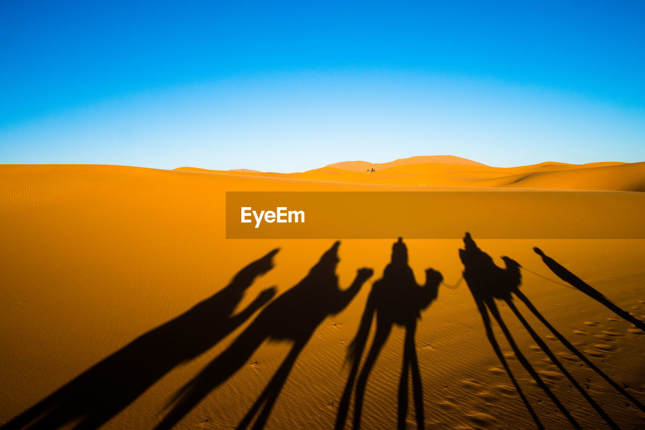 SHADOW OF PEOPLE ON SAND DUNE