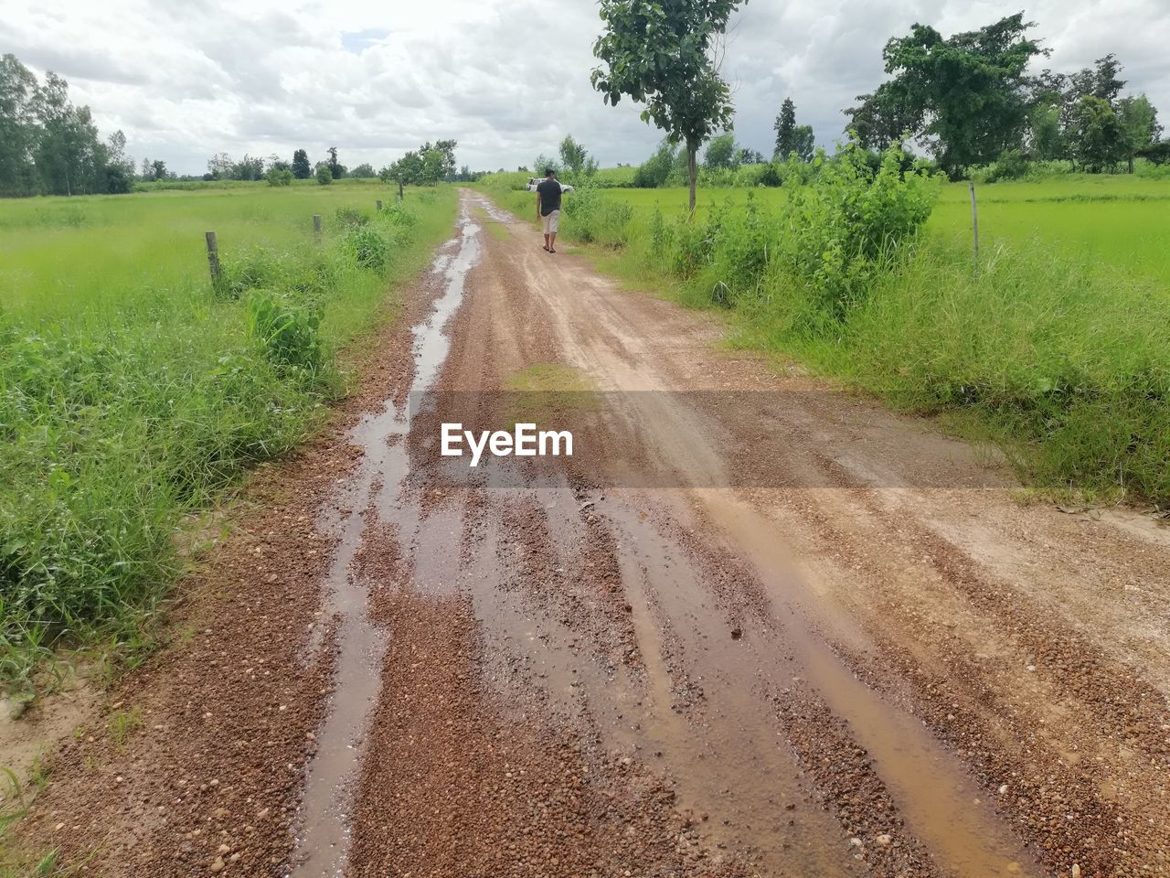 Rear view of man walking on dirt road