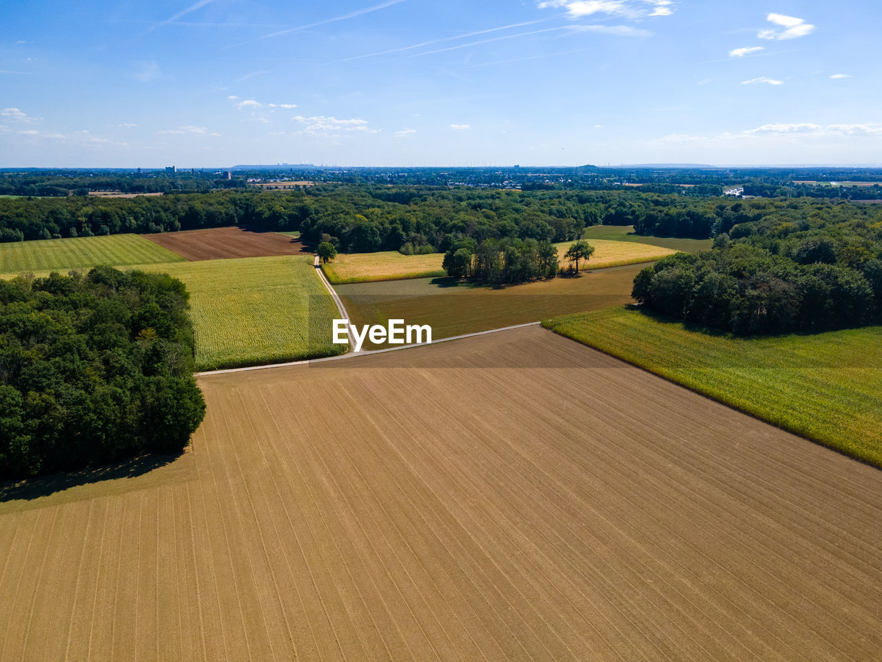 landscape, environment, plant, sky, land, scenics - nature, rural scene, tree, field, nature, plain, agriculture, beauty in nature, green, farm, grass, tranquility, cloud, no people, tranquil scene, horizon, hill, growth, blue, grassland, crop, outdoors, non-urban scene, day, summer, idyllic, rural area, sunlight, aerial photography, horizon over land, cereal plant, landscaped, aerial view, forest, sports, sunny