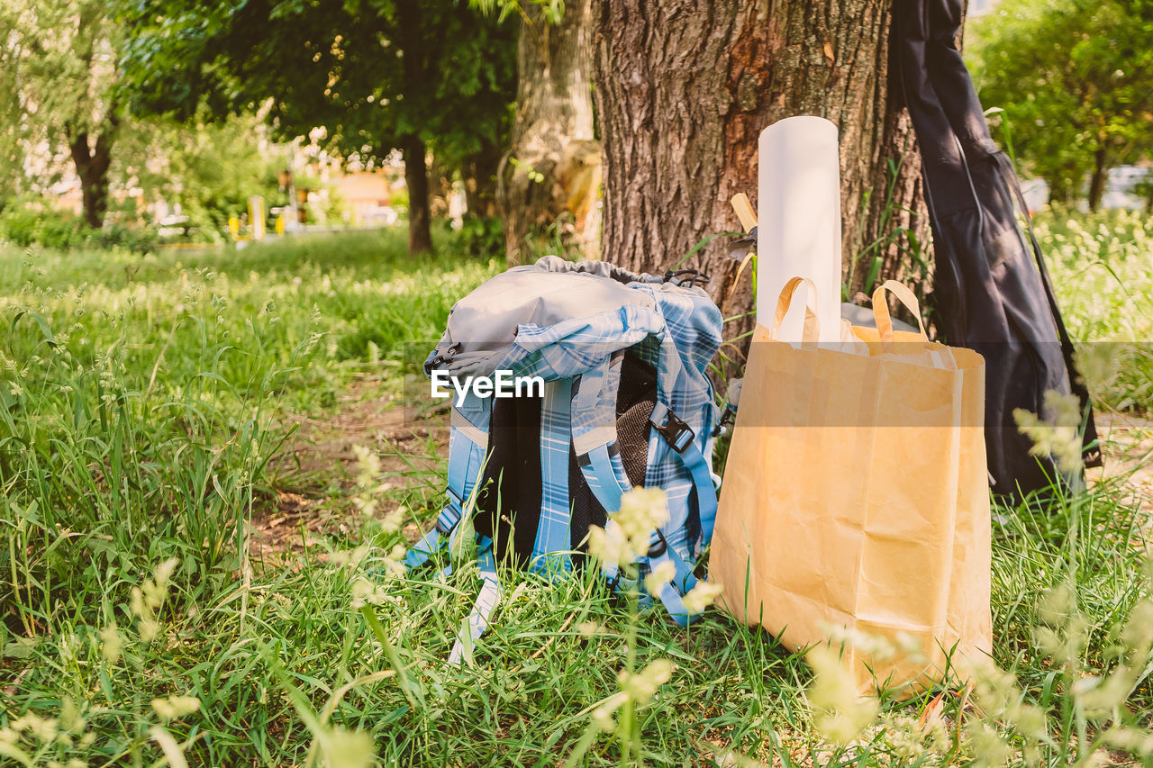 A backpack and sports equipment are lying on the grass near a tree. break for rest during a hiking