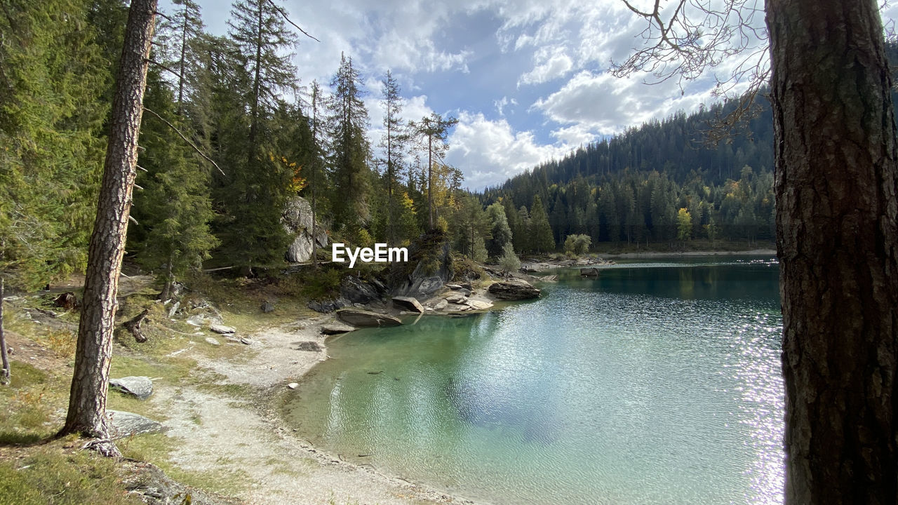 SCENIC VIEW OF LAKE AND TREES AGAINST SKY