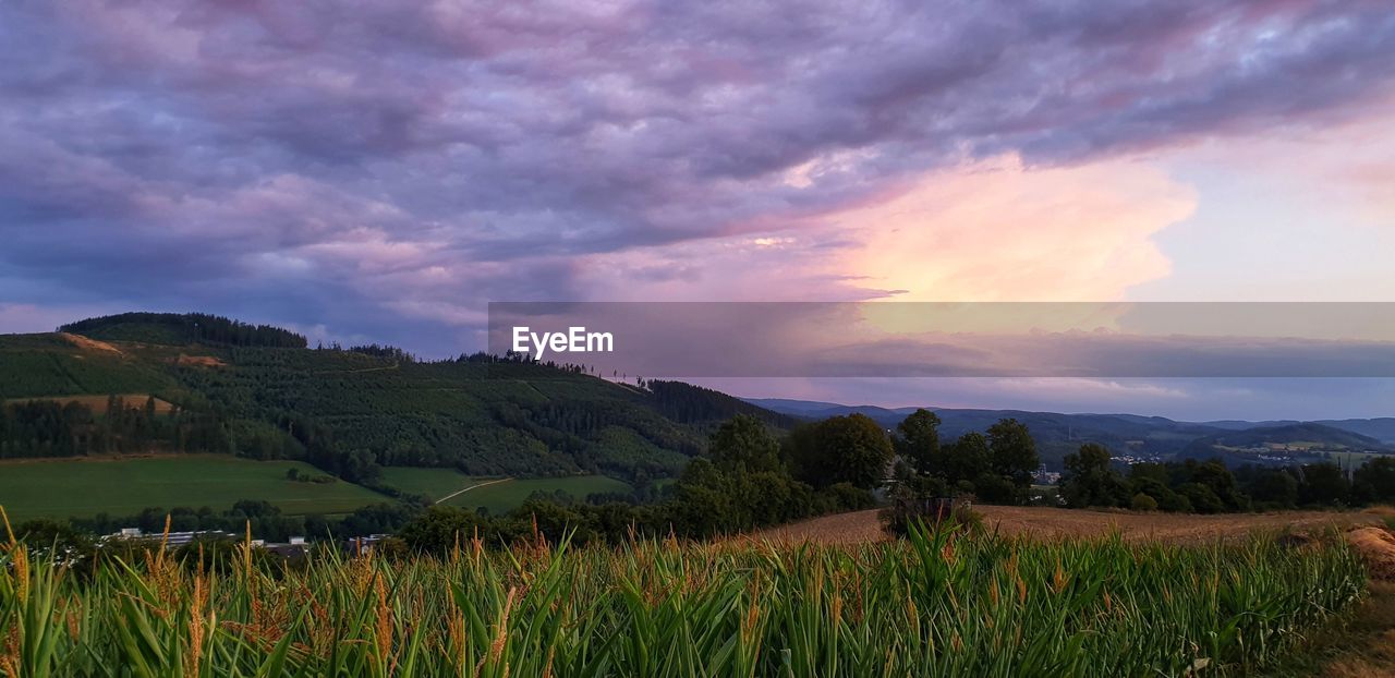 Scenic view of field against sky during sunset