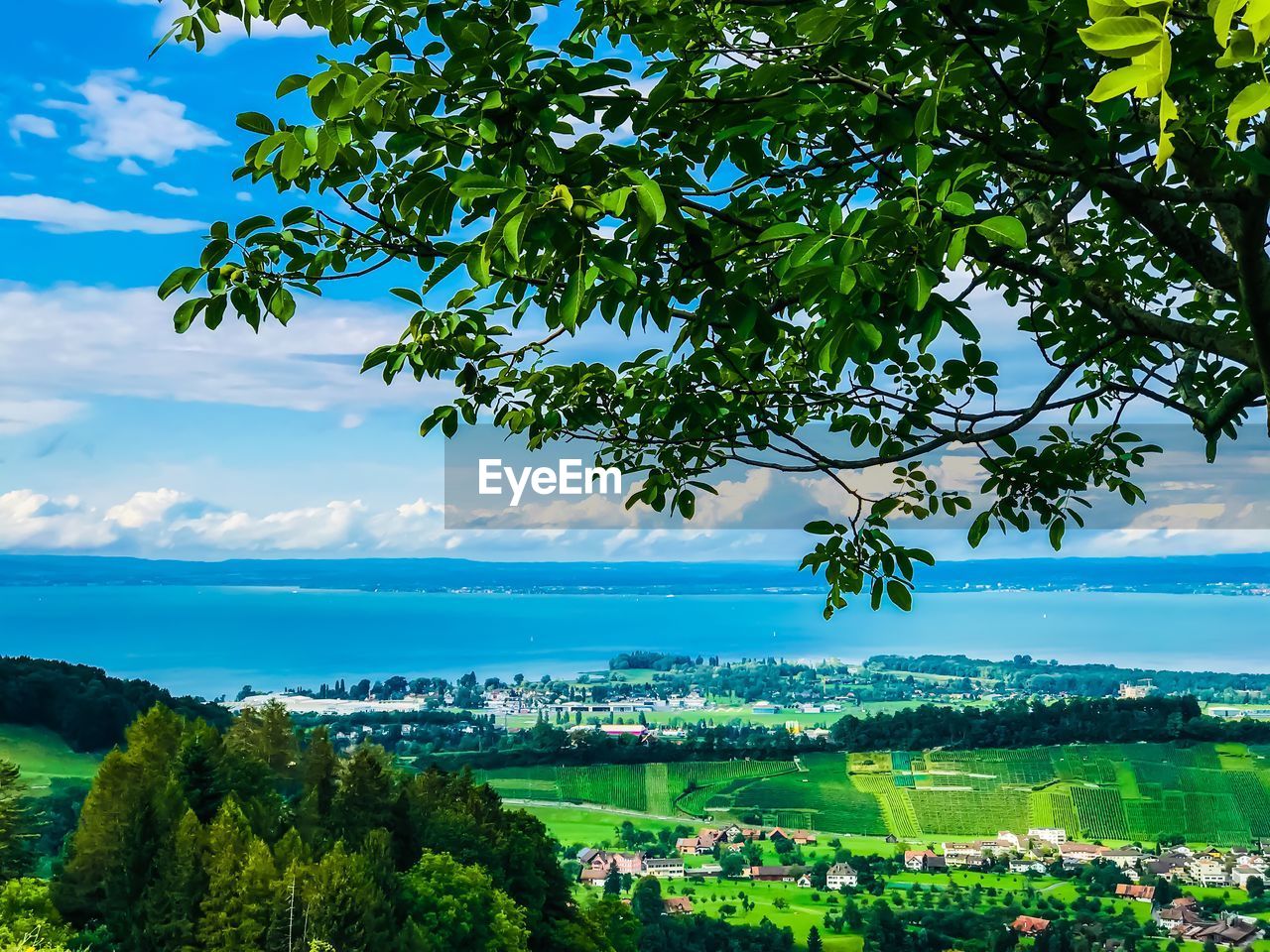 Scenic view of townscape against sky