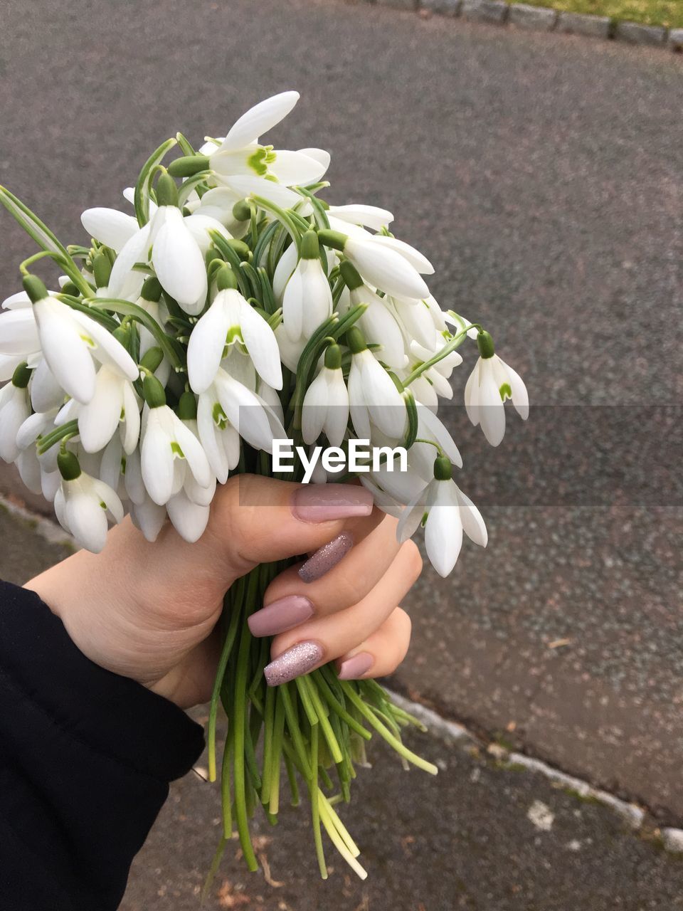 Cropped hand of woman holding flowers on road