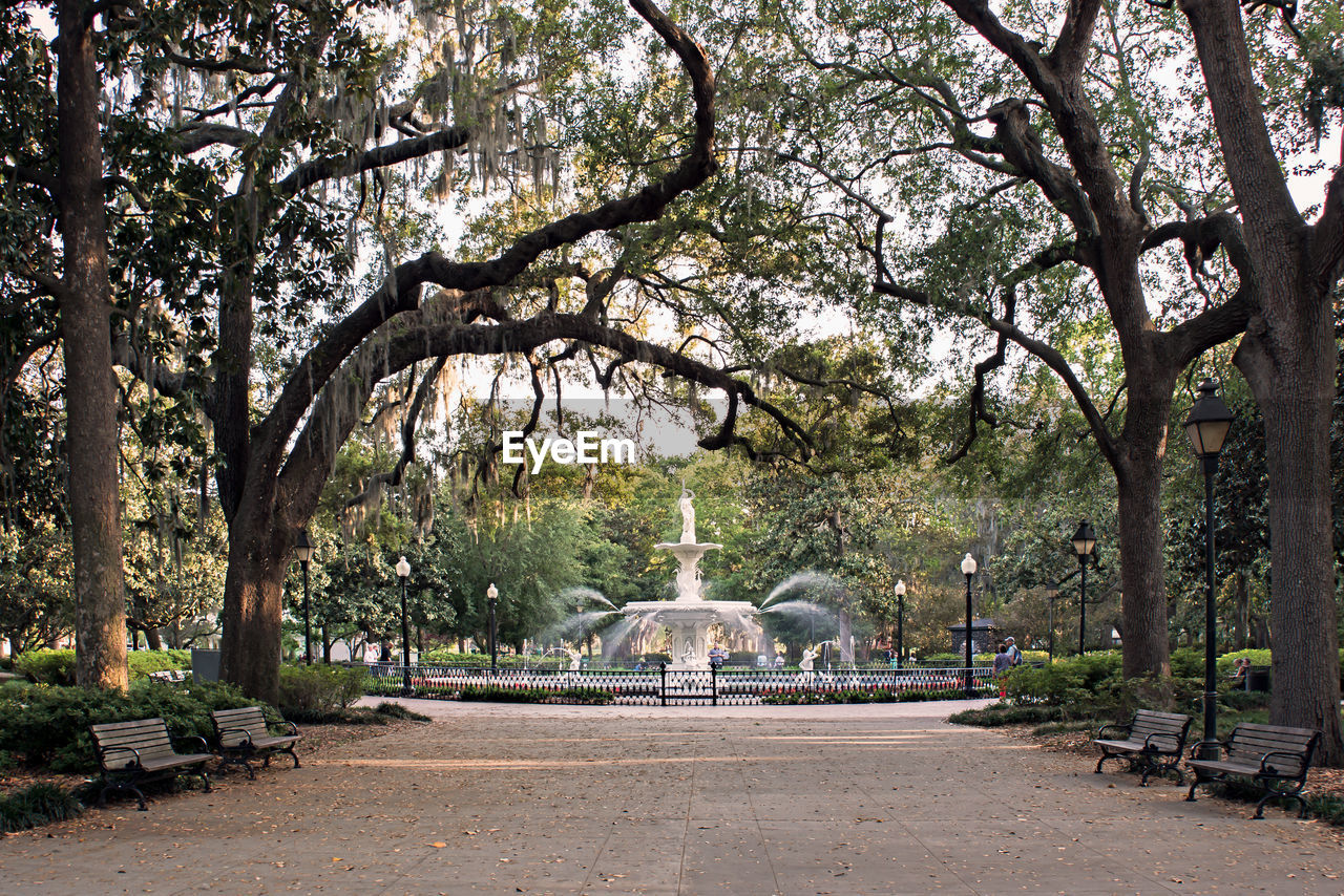 STATUE OF TREES AT CITY