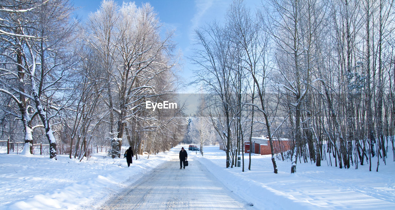 SNOW COVERED BARE TREES AGAINST SKY