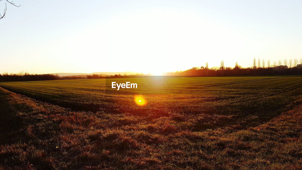 Scenic view of field against clear sky during sunset