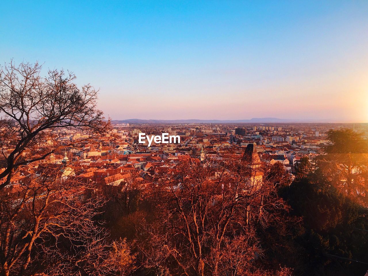 Aerial view of tree against sky during sunset