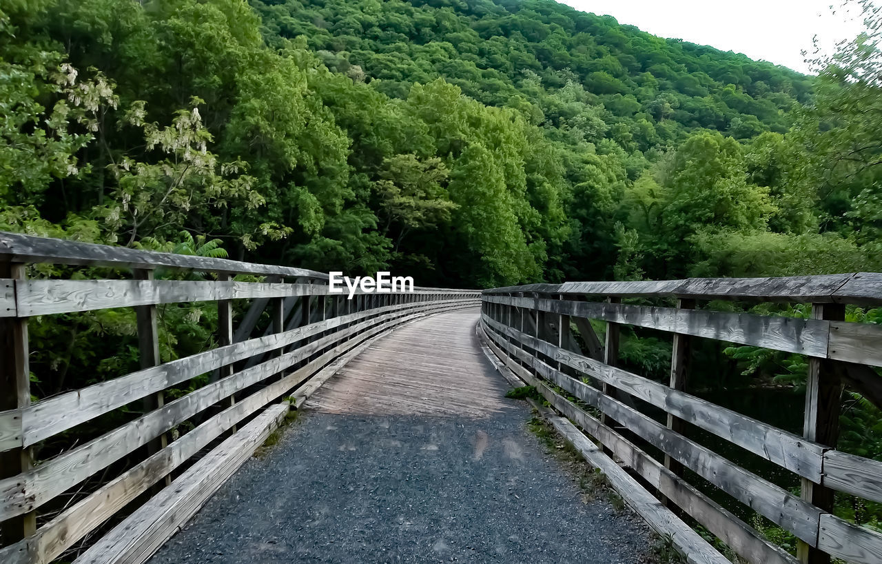 Footbridge amidst trees in the forest