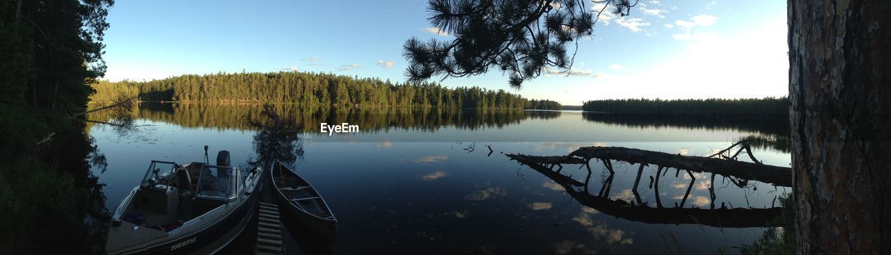 Panoramic view of lake in forest