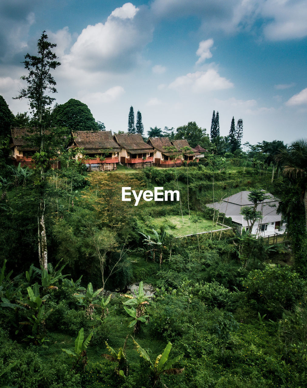 HOUSES BY TREES AND BUILDINGS AGAINST SKY