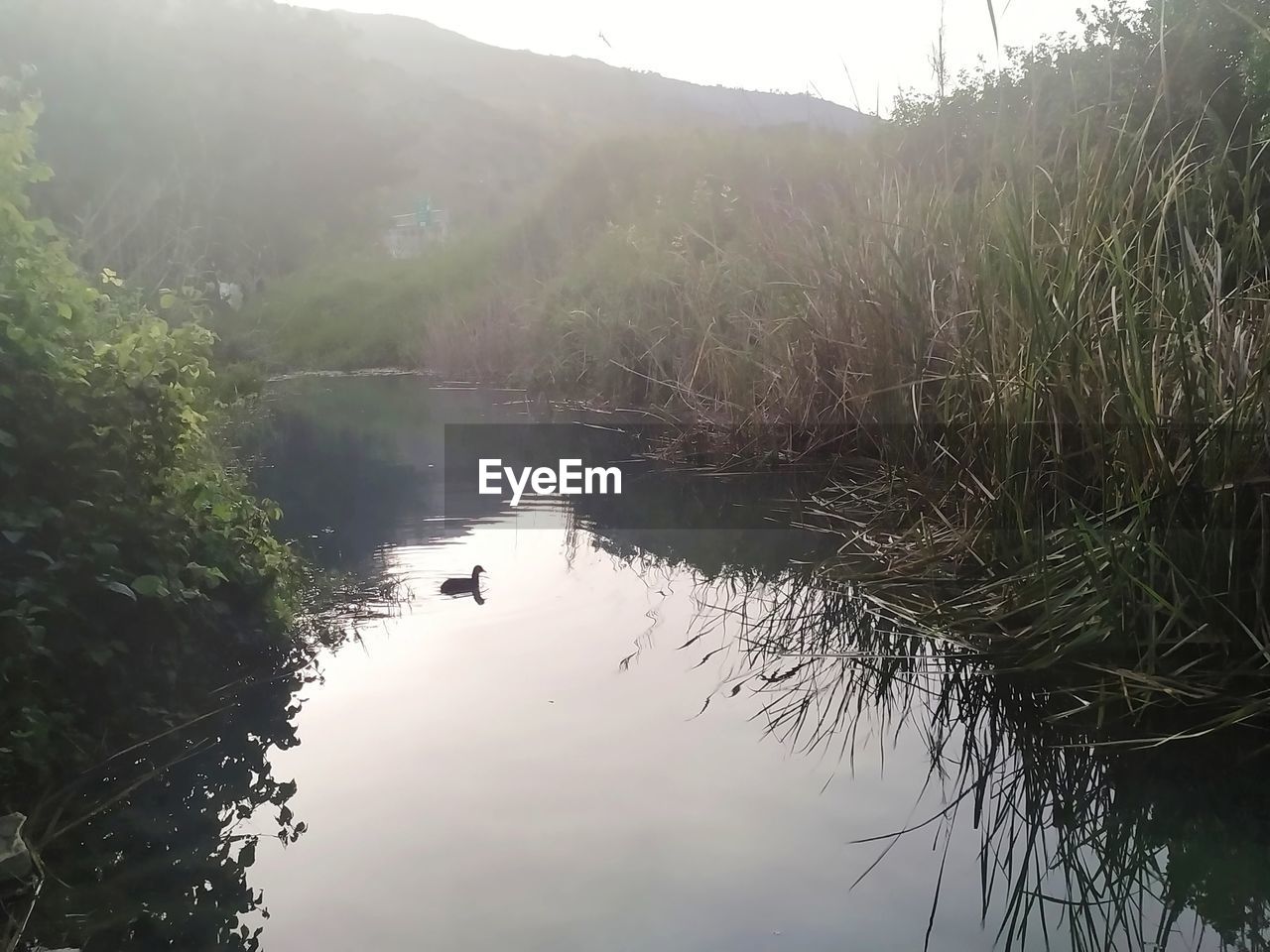 SCENIC VIEW OF LAKE WITH REFLECTION