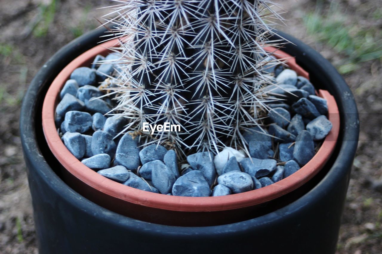 HIGH ANGLE VIEW OF POTTED PLANT ON METAL FIELD