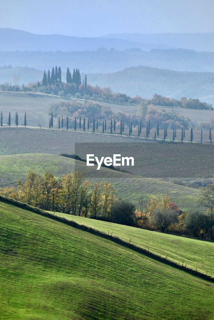 Scenic view of tuscan landscape