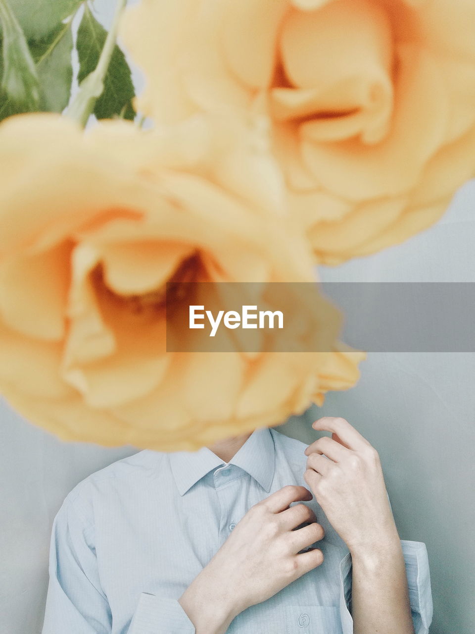 Close-up of rose flowers hanging over man face in background