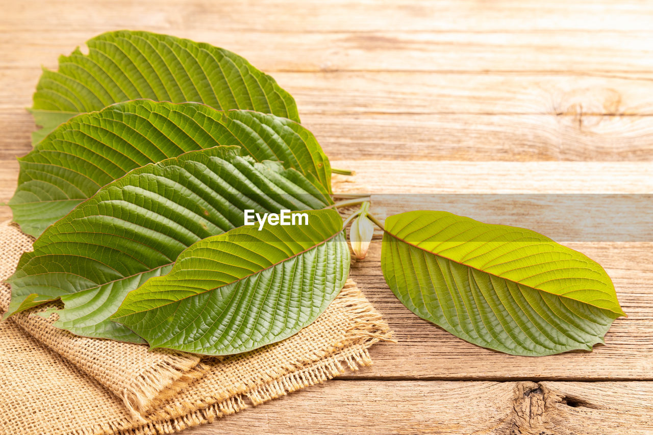 leaf, plant part, green, plant, nature, wood, no people, food and drink, freshness, close-up, food, produce, wellbeing, high angle view, yellow, indoors, healthy eating, still life, tree, branch