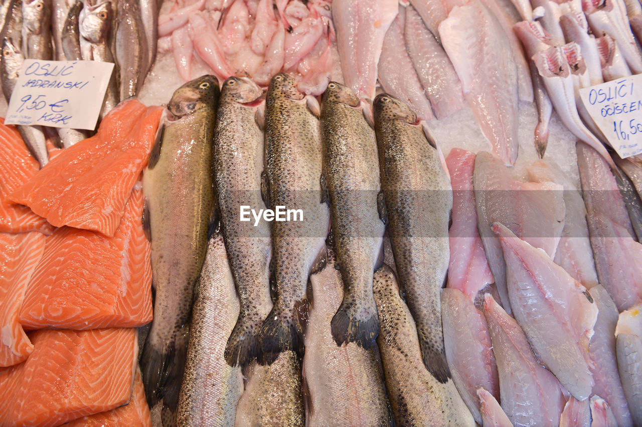 Close-up of seafood for sale